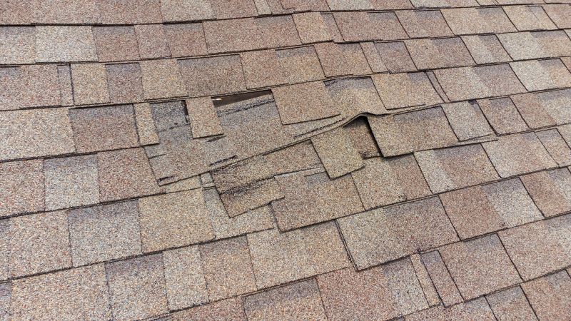 Damaged Shingle Repair